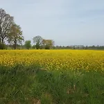 Irene In Strackholt * Grossefehn