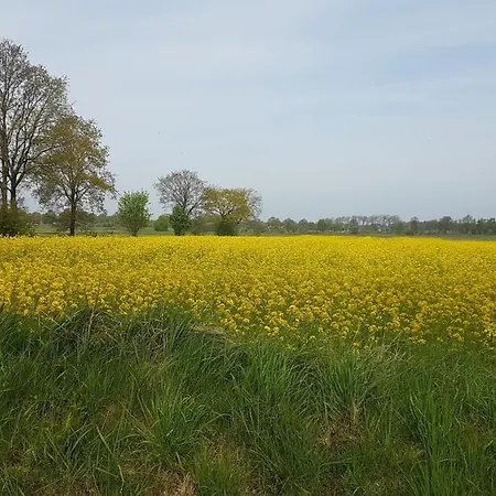 Irene In Strackholt * Grossefehn