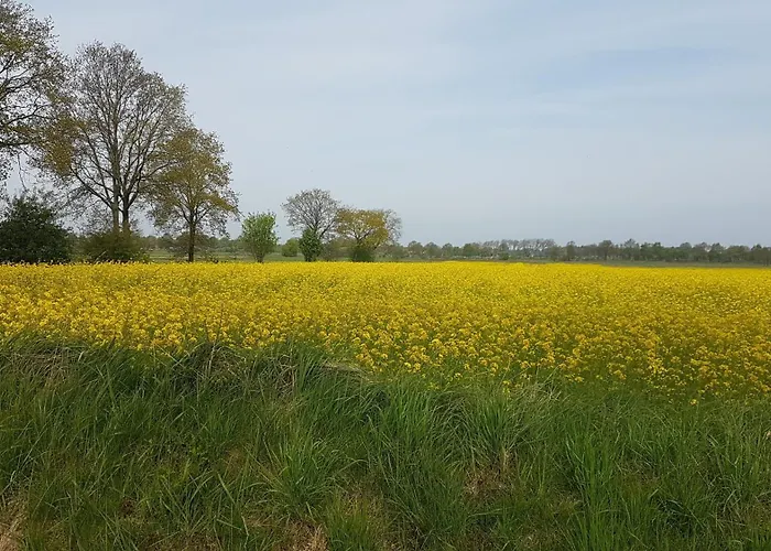 Irene In Strackholt * Grossefehn